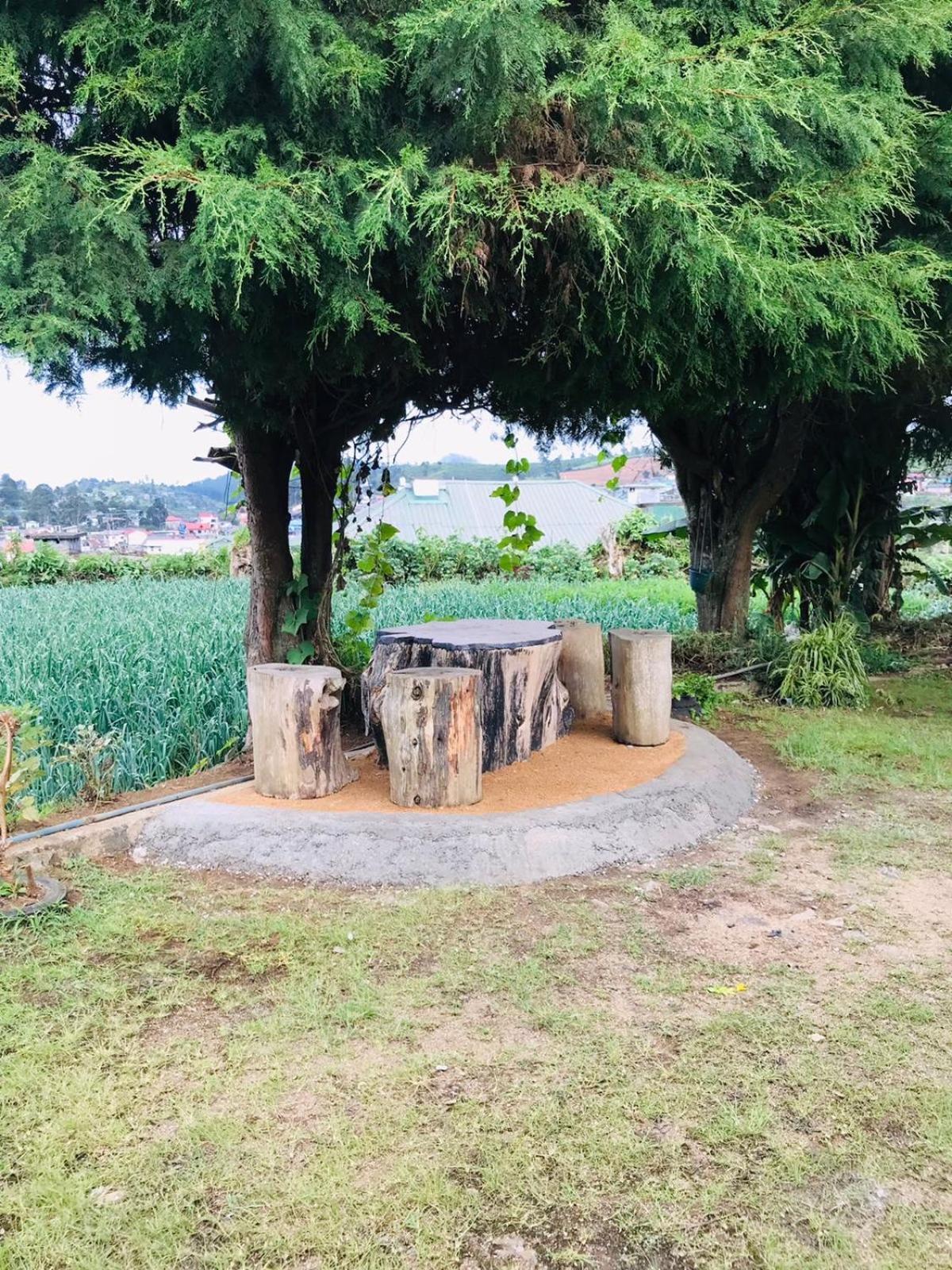 Silver Meir Bungalow Nuwara Eliya Ngoại thất bức ảnh